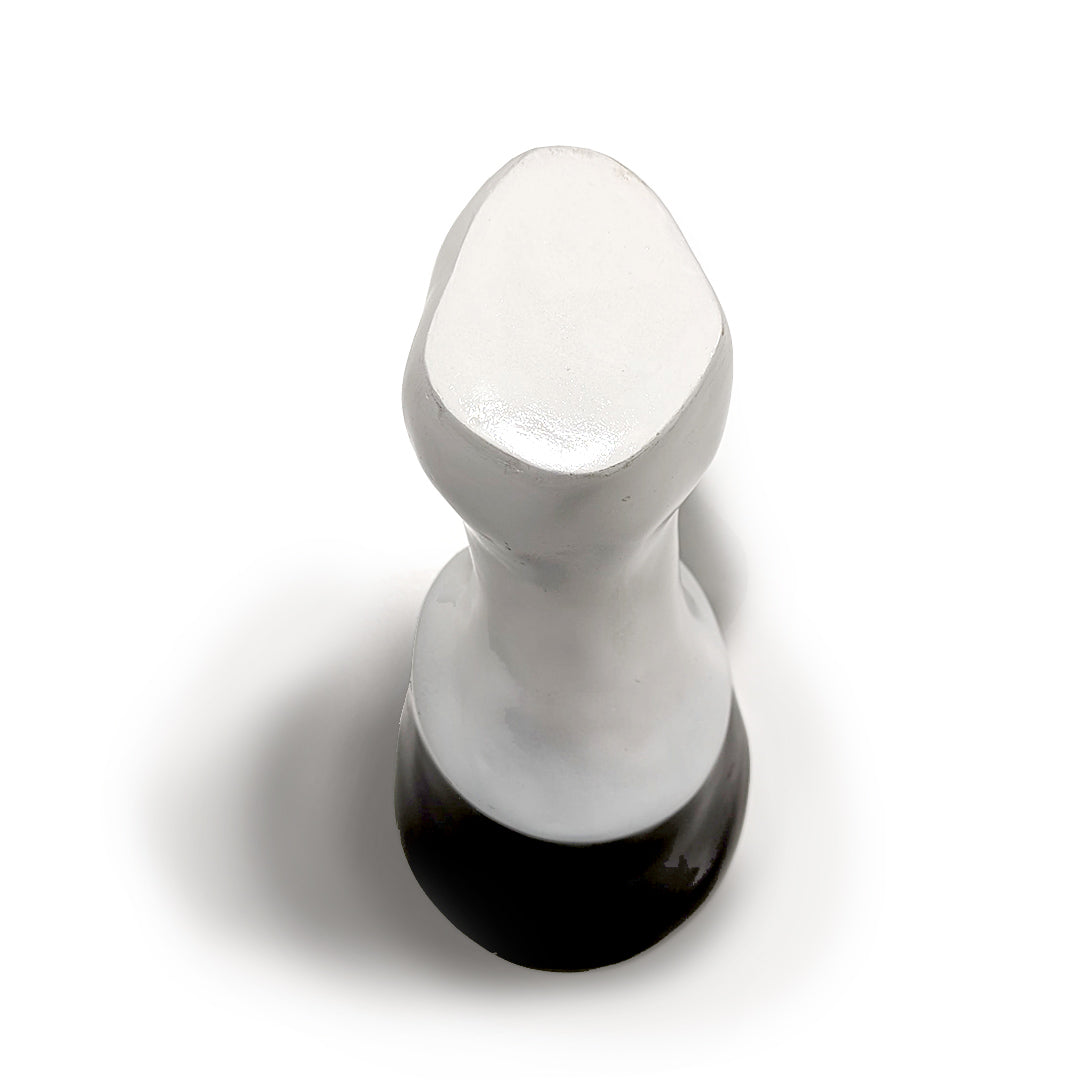 Modèle de jambe et de sabot de cheval