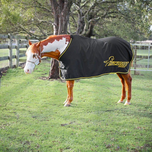 Scoot Horse Rugs