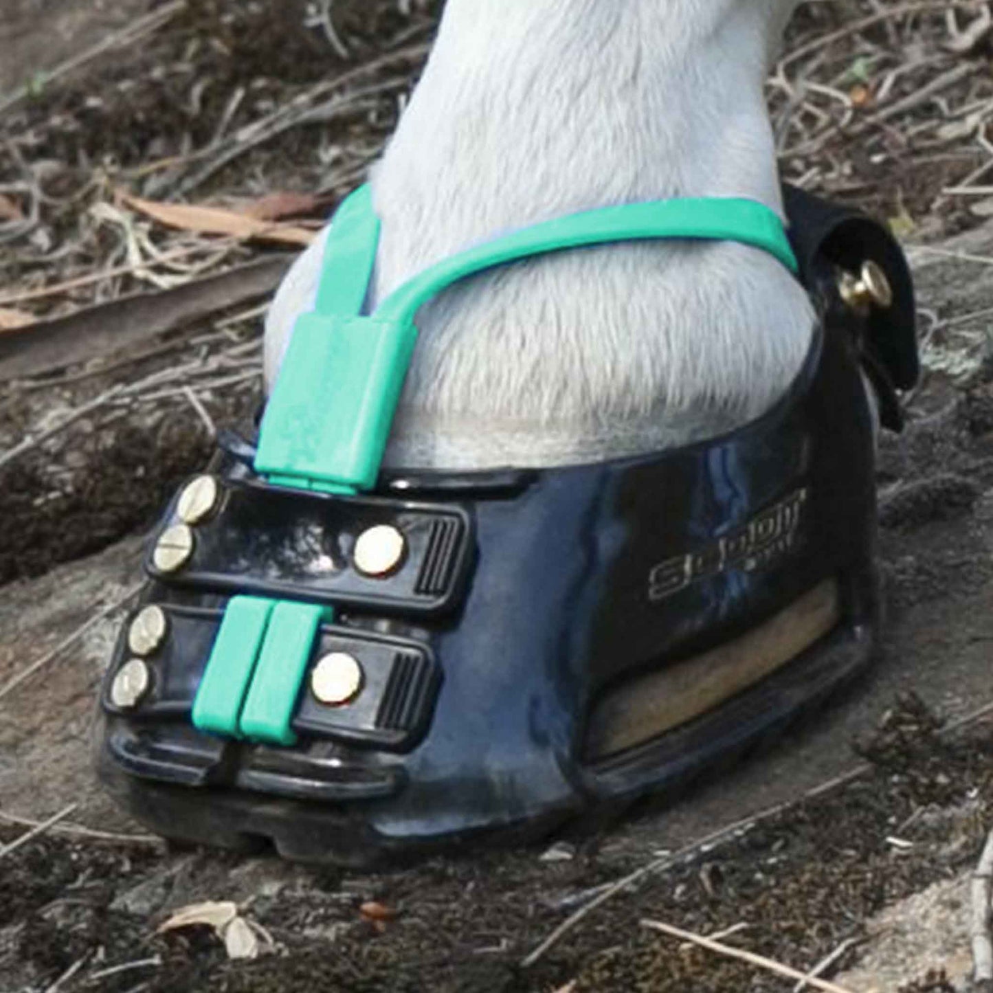 Lanières de boue Scoot