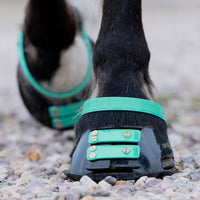 Front Straps Standard