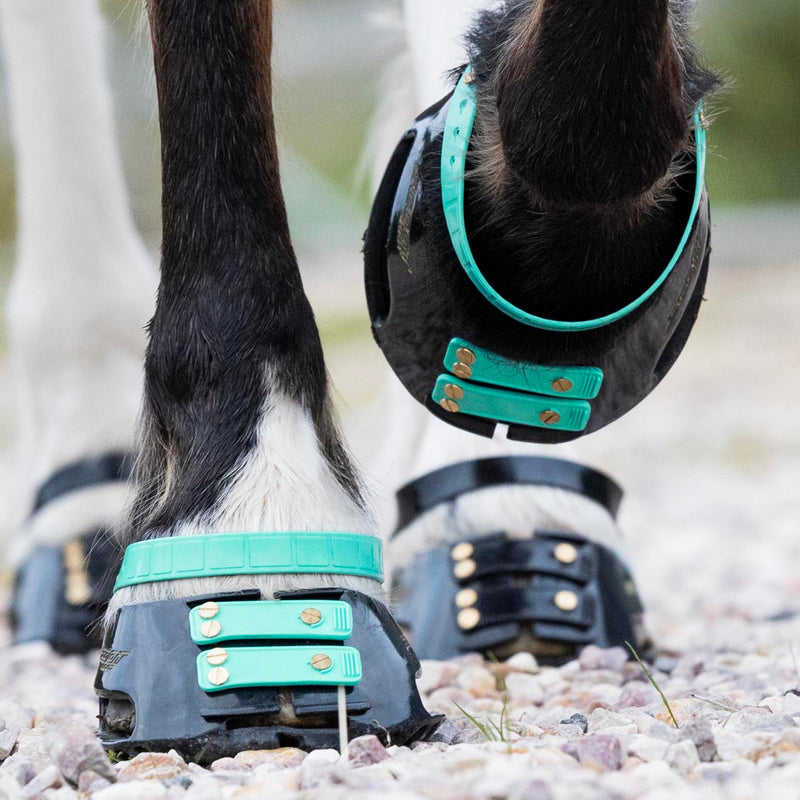 Pastern Strap Pack
