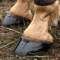 Scoot Skins à coller